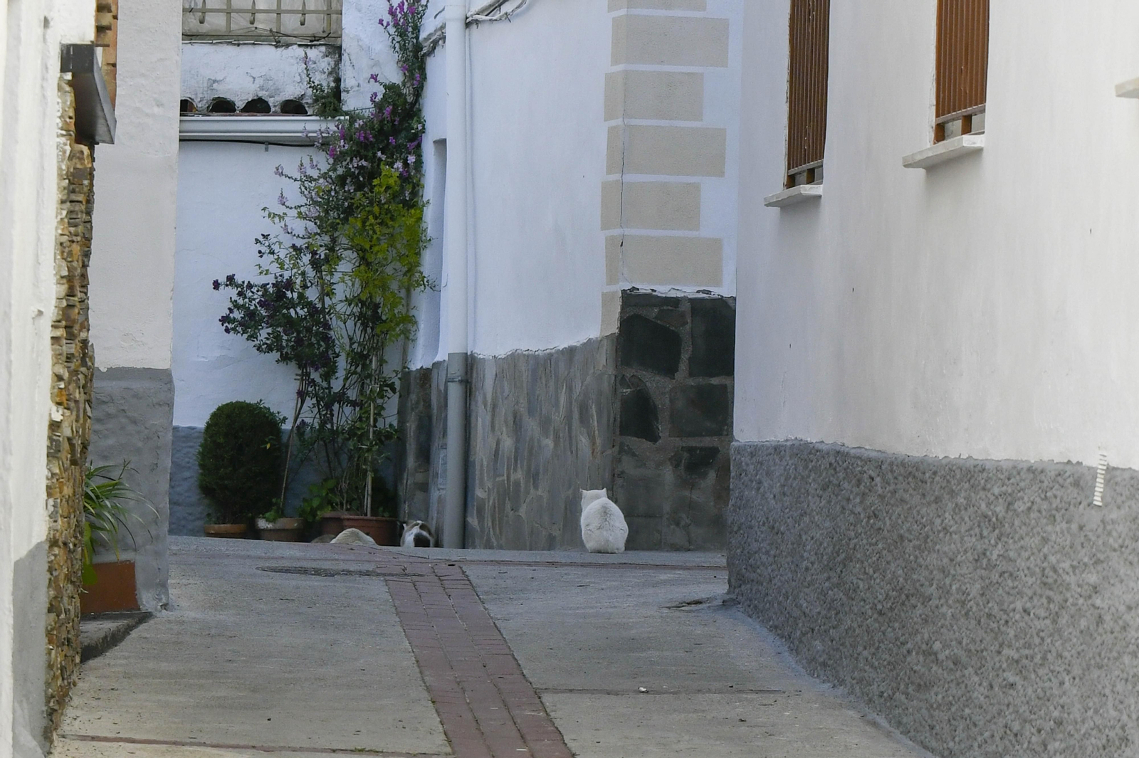Los pueblos menos habitados del Cinturón de Granada durante el confinamiento