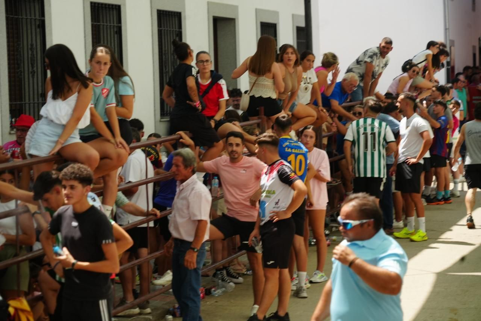 Las mejores imágenes del Día del Caballo y las Sevillanas de Dos Torres