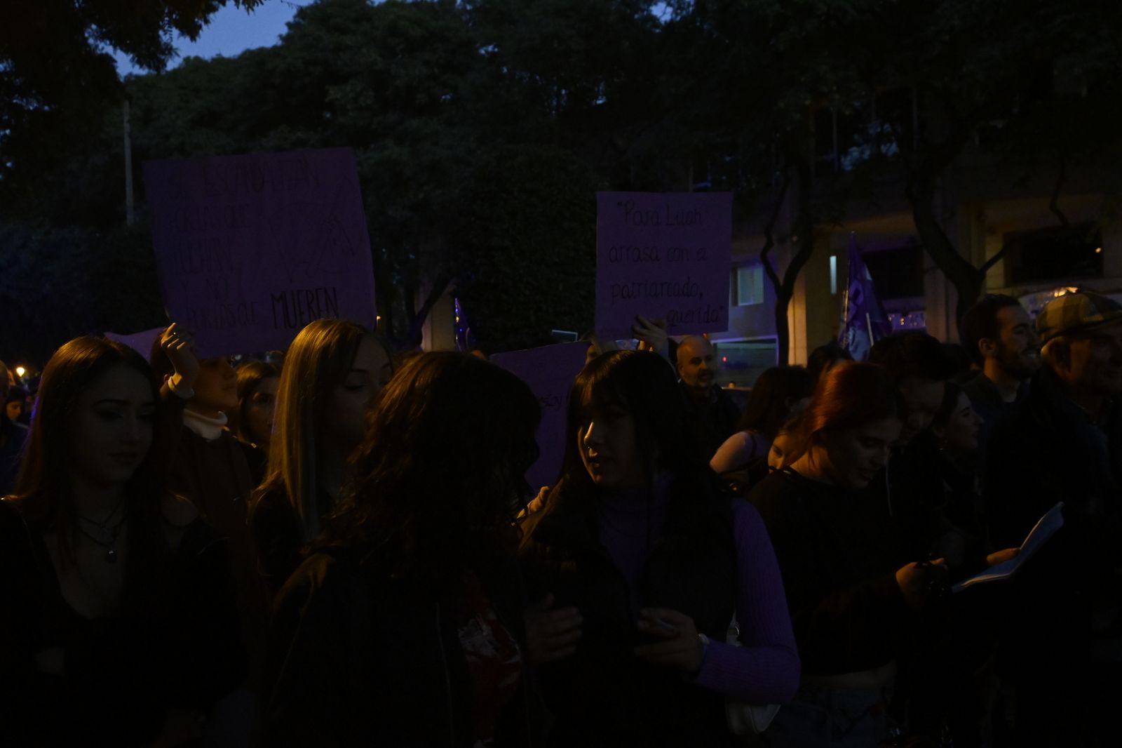 Manifestación del 25N en Imágenes.