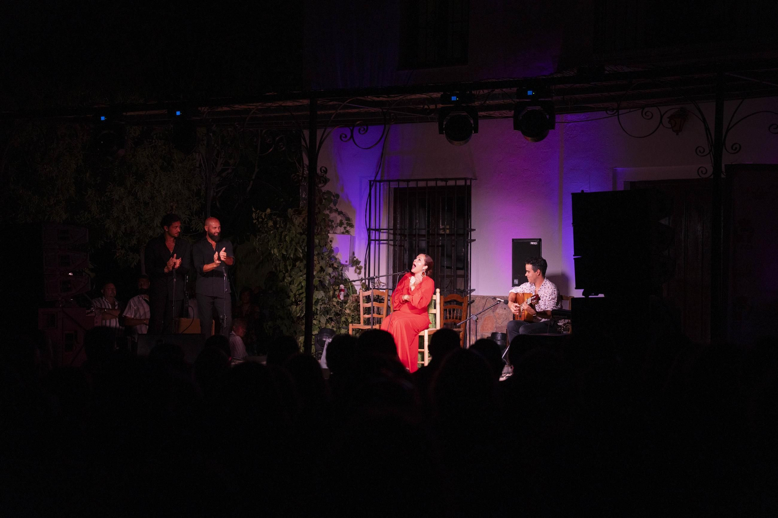 Las mejores imágenes del Festival de Flamenco en Fondón