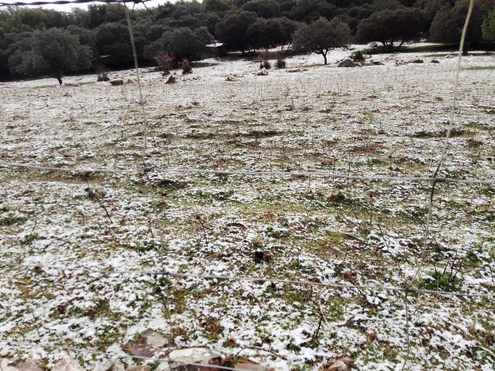 Nieve en Villaluenga