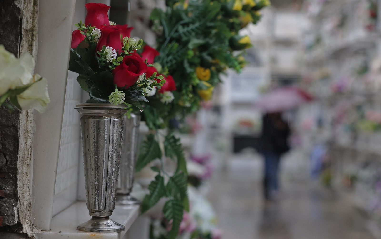 Fotos de los preparativos para Tosantos en el cementerio de Algeciras