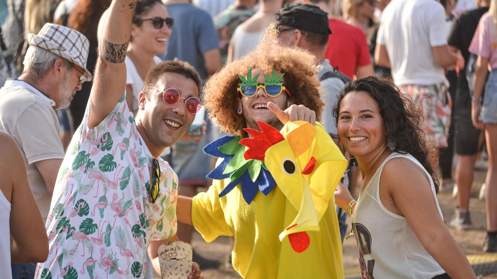 El público lo pasó genial durante los conciertos. El público lo pasó genial durante los conciertos.