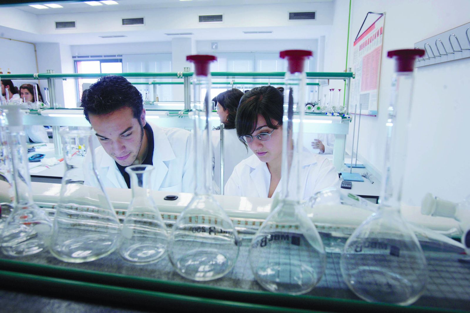 Jóvenes investigadores en la Universidad