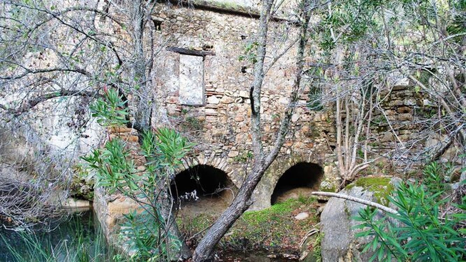 Restos de la Real Fábrica de la Artillería.