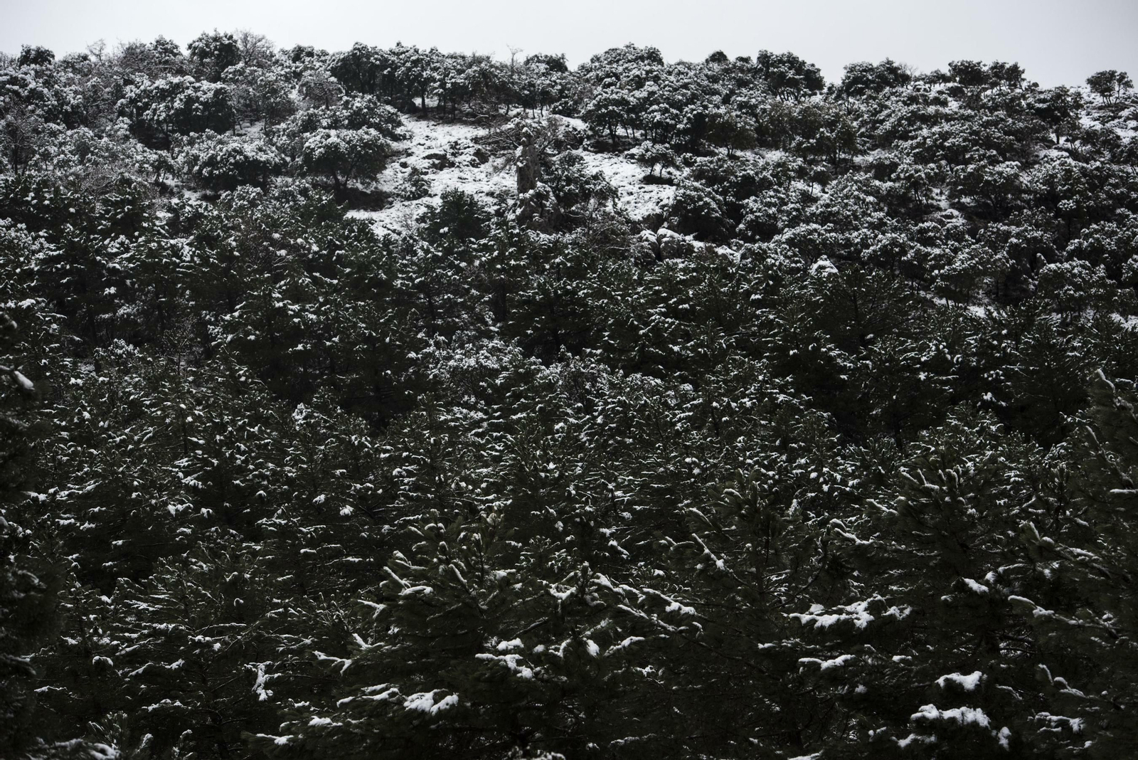 Todas las imágenes del paso del temporal por Granada