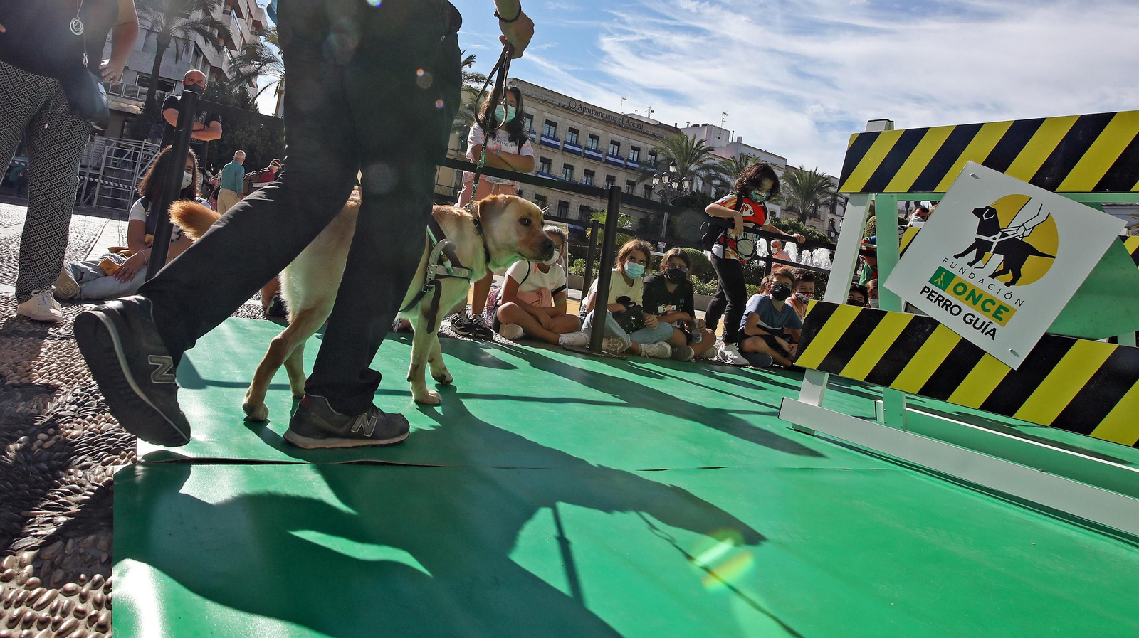 Exhibición en la plaza del Arenal del adiestramiento de perros guía de la ONCE