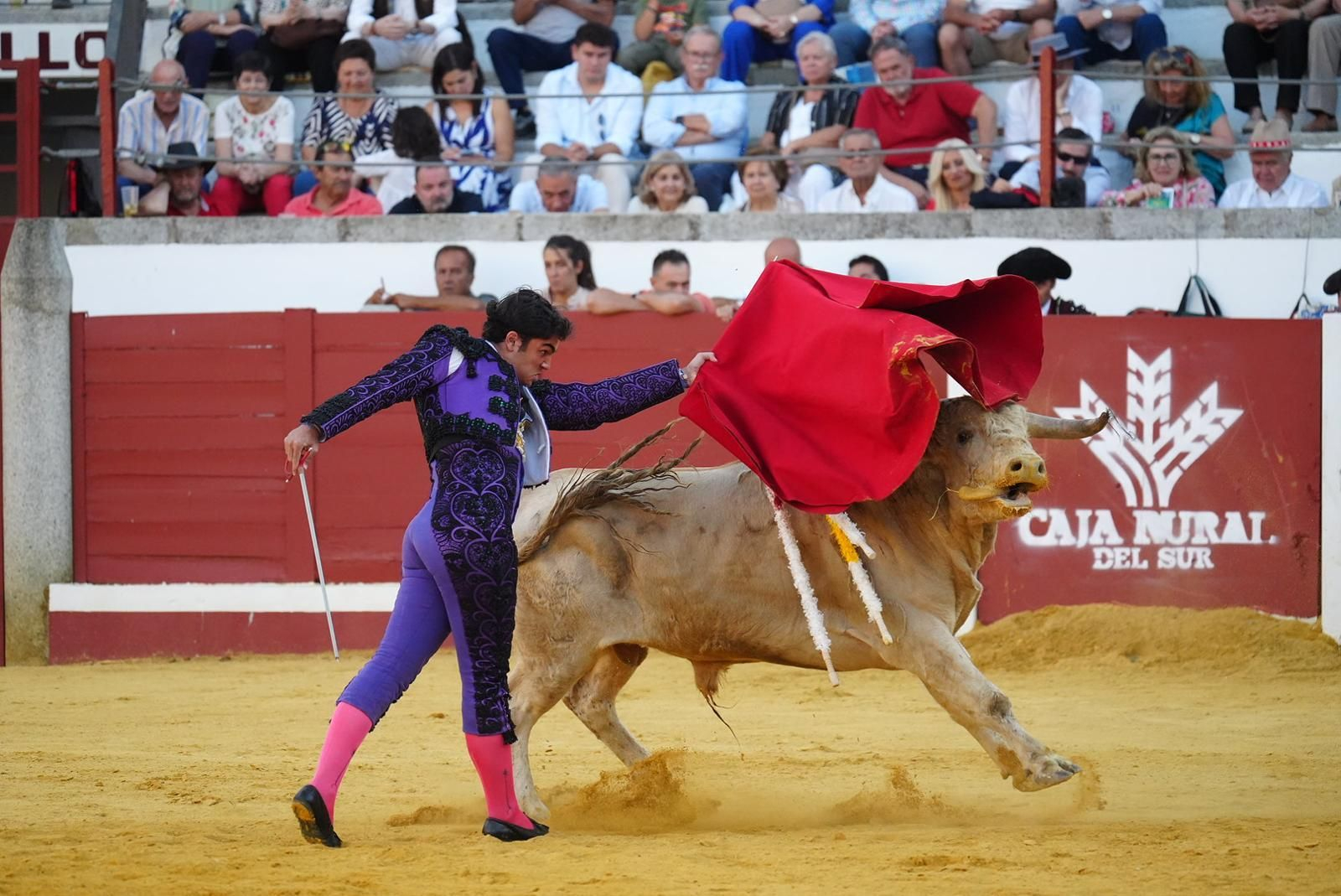Las fotos del triunfo de Manuel Quintana en la feria taurina de Pozoblanco