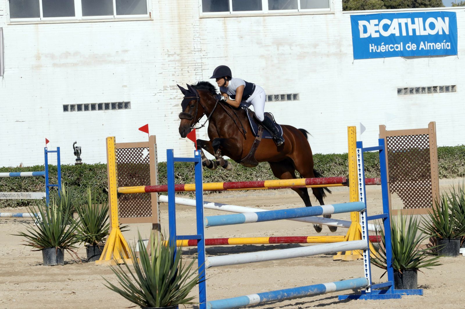 Fotogalería del XLV Concurso Nacional de Salto de Obstáculos