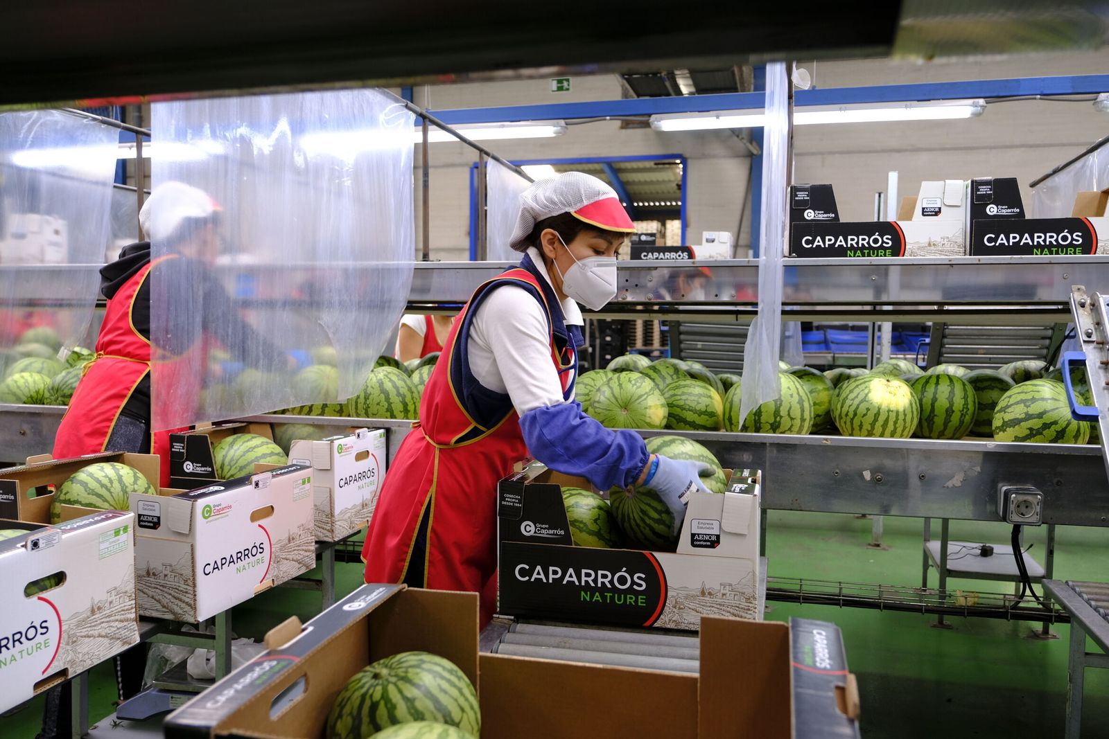 El consumo de sandía en los hogares españoles subió el pasado año