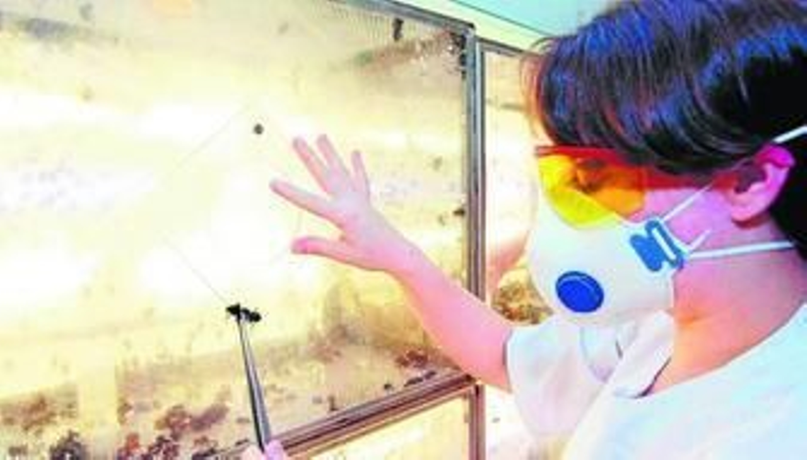 Colmenas de abejorros en la planta de Agrobío.