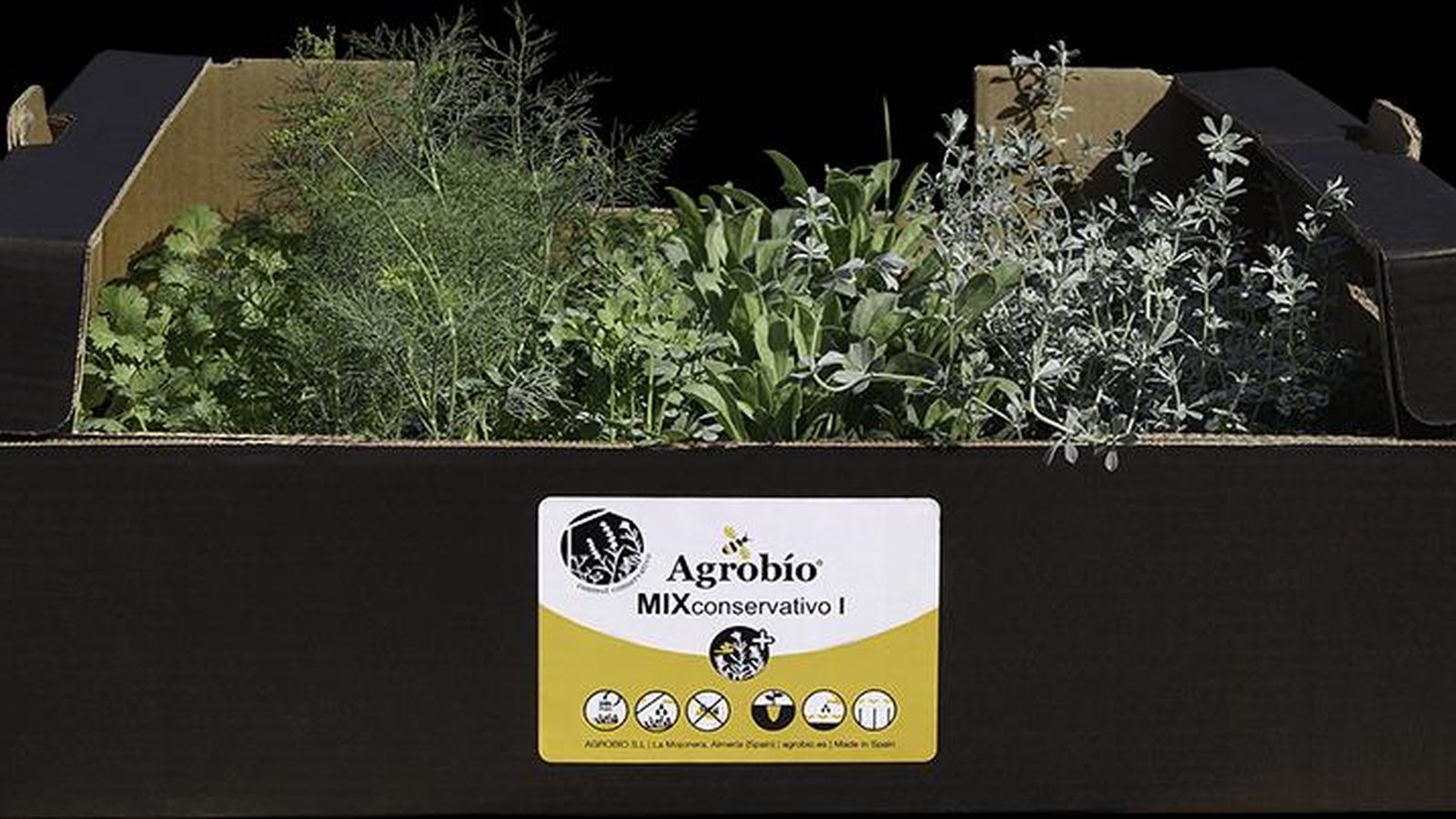 Plantas seleccionadas.