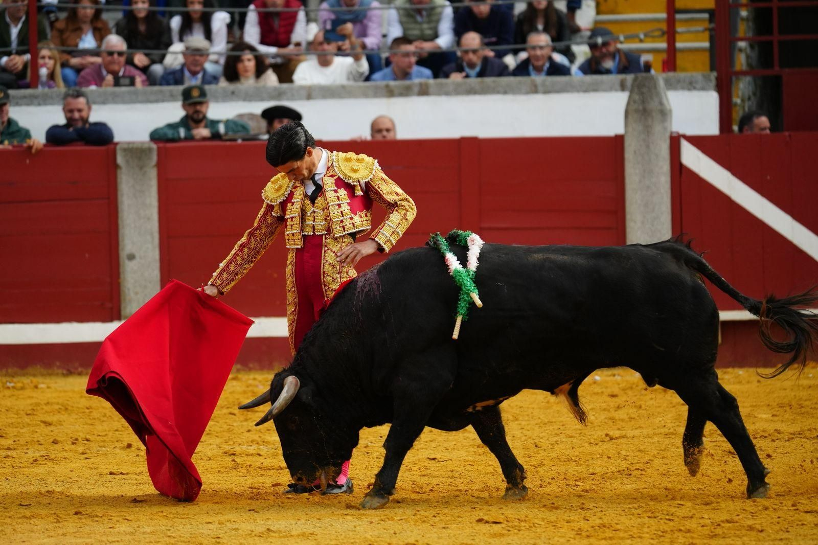 La corrida de primavera con Talavante, Pablo Aguado y Juan Ortega en Pozoblanco, en imágenes