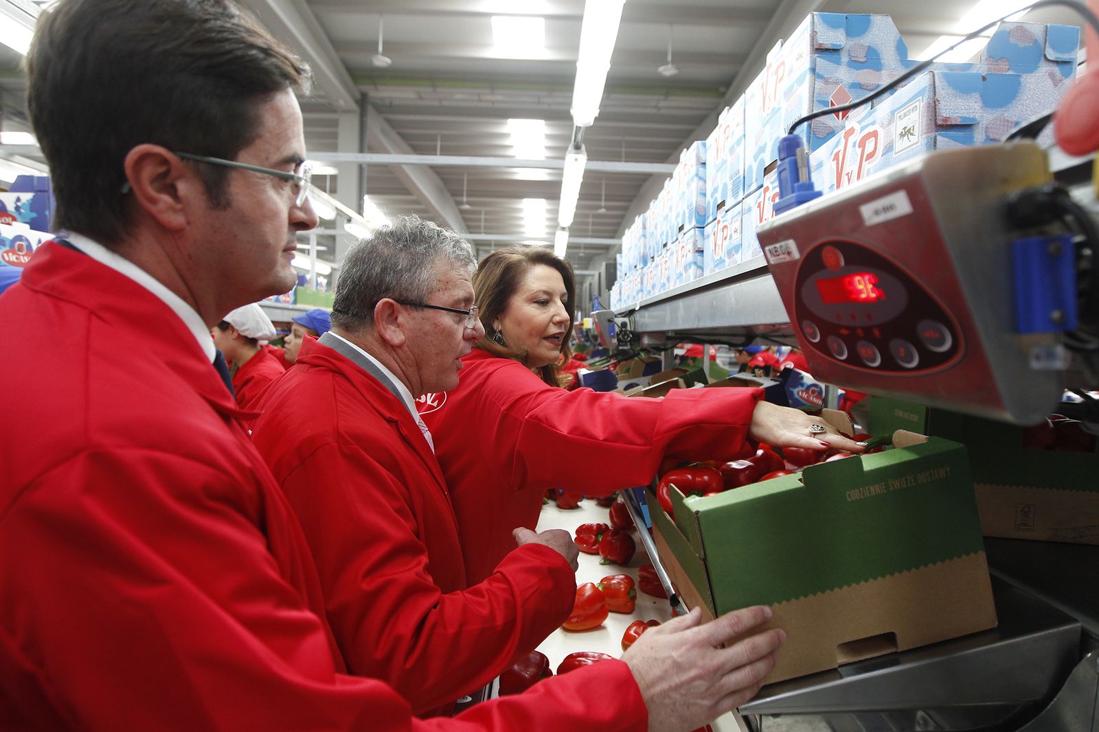 Fotogalería nuevas instalaciones Vicasol 3 en El Ejido