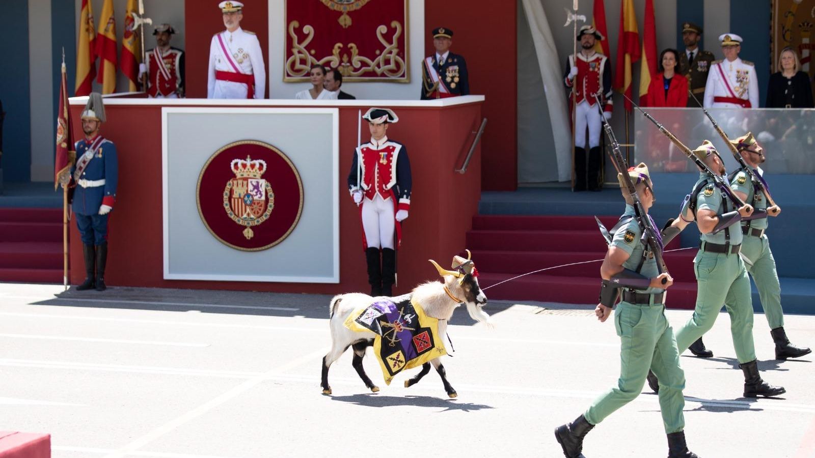 La cabra de la Legión, llamada Julio César, ante los Reyes Felipe VI y doña Letizia