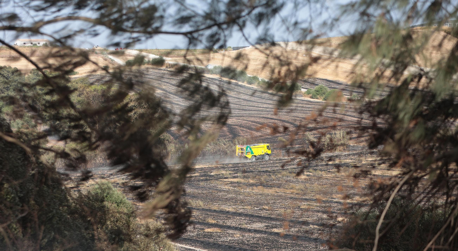 Imagen del incendio en Montecastillo, ayer en Jerez.
