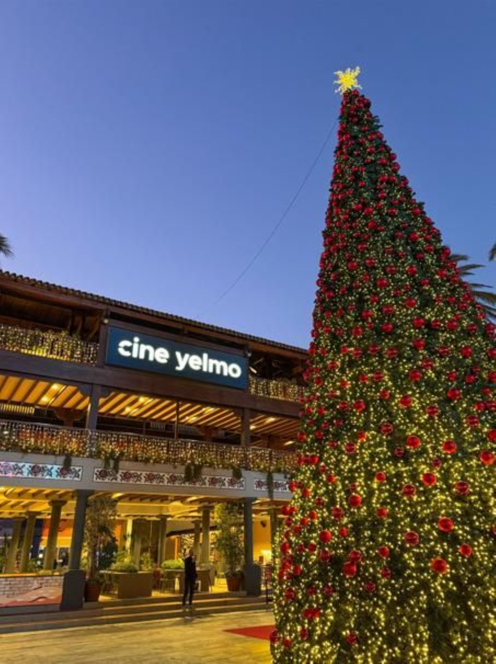 Árbol de Navidad Plaza Mayor