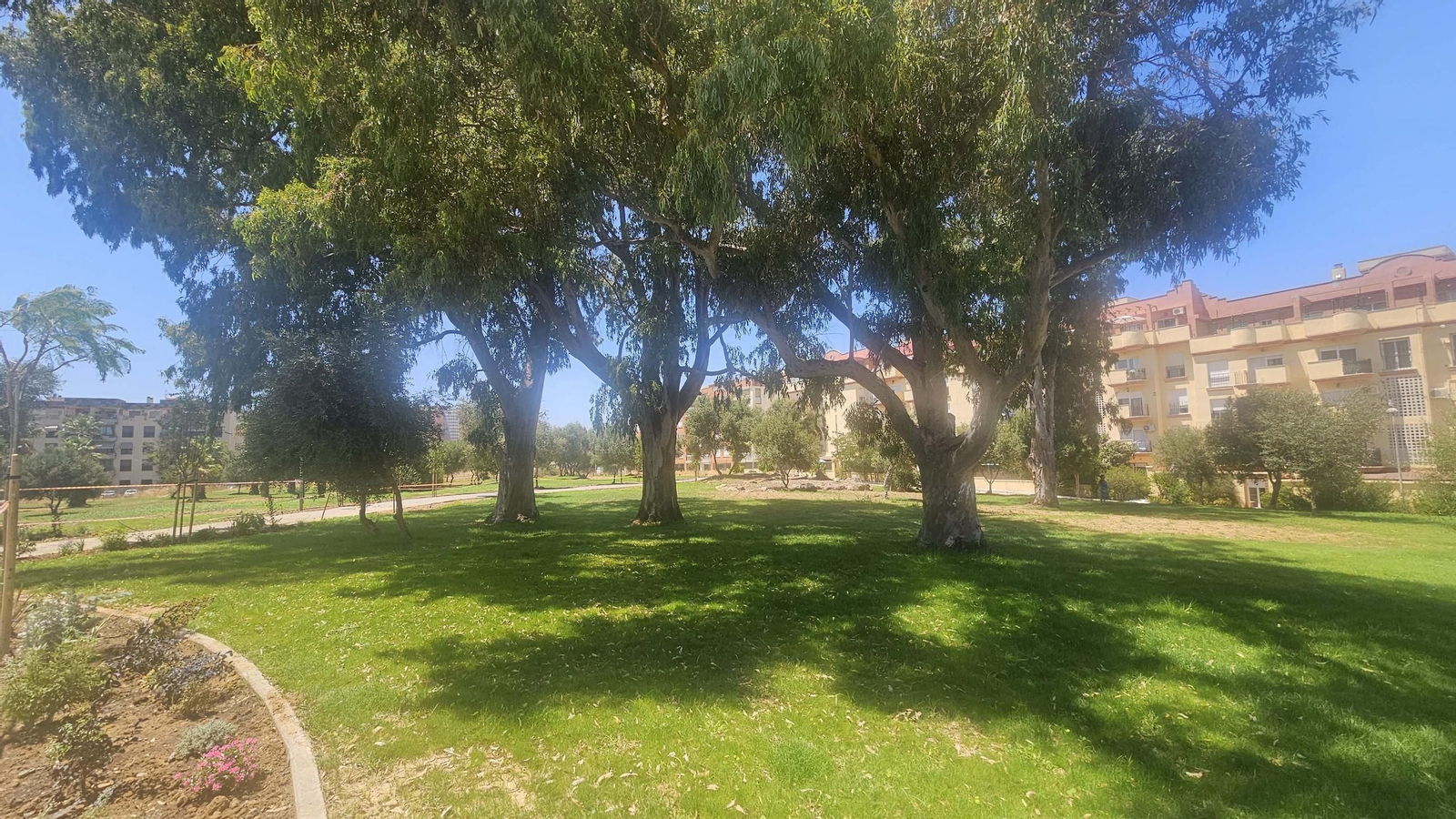 Fotos de los nuevos 12.000 metros cuadrados de zonas verdes de la Ermita, en Algeciras Fotos de los nuevos 12.000 metros cuadrados de zonas verdes de la Ermita, en Algeciras