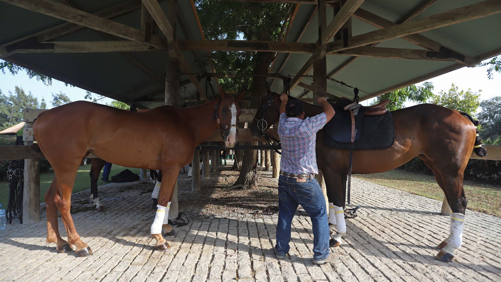 El polo desde dentro