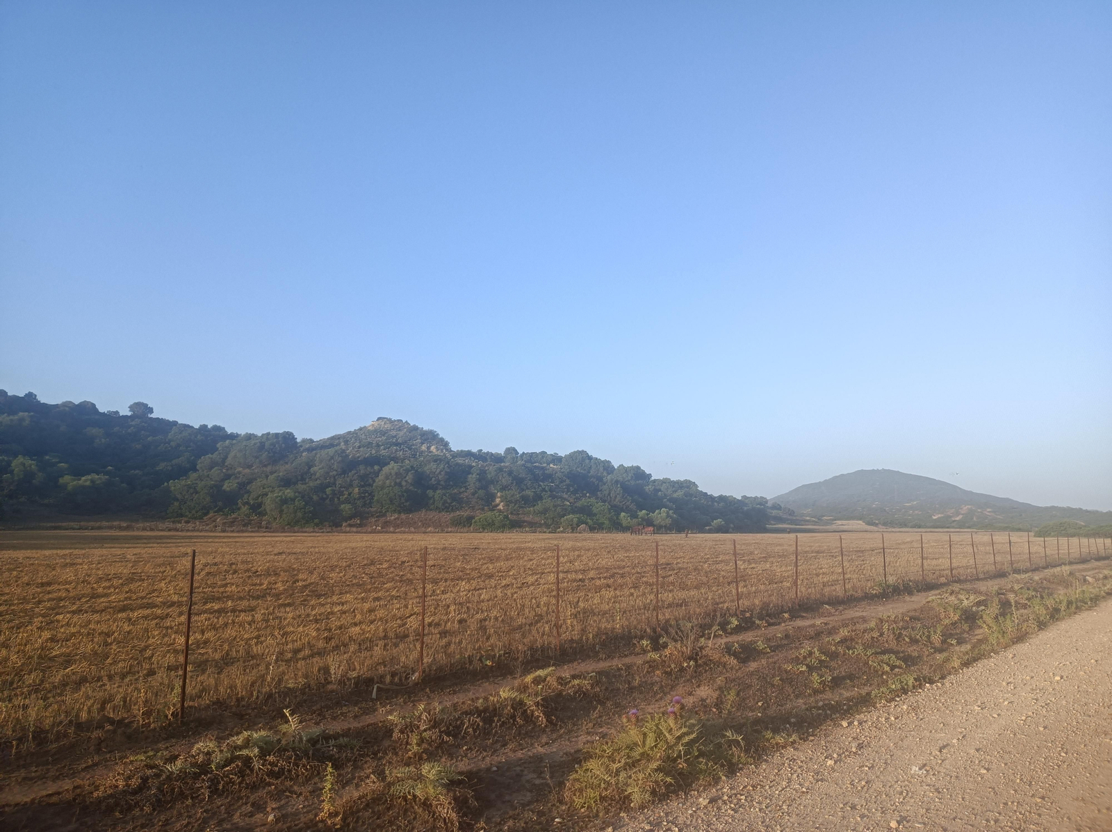 El paisaje, al principio, es ligeramente ondulado. Poco a poco irán ganando terreno los pinos.