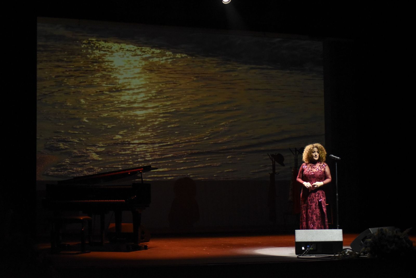 Las fotos del concierto Rocío a Rocío de Natalia Vivero en La Línea