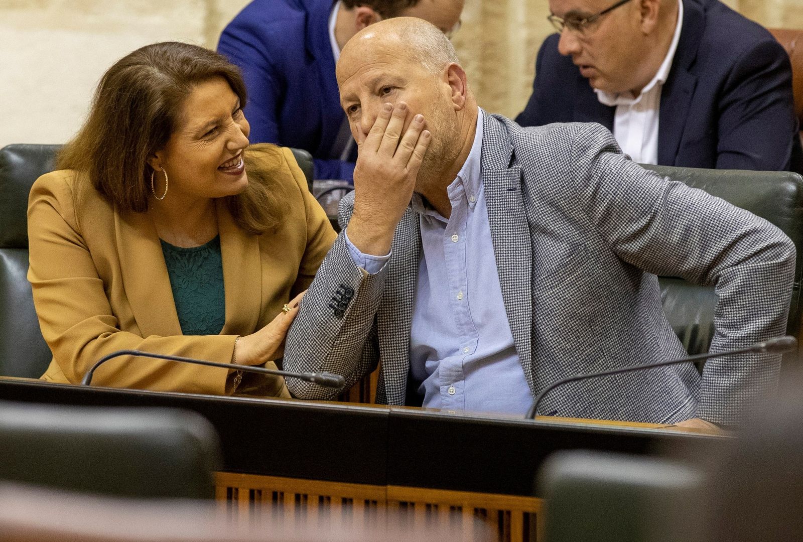 El consejero Javier Imbroda, este miércoles en el Parlamento.