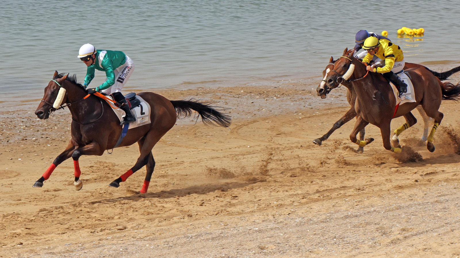 178ª edición de las Carreras de Caballos de Sanlúcar