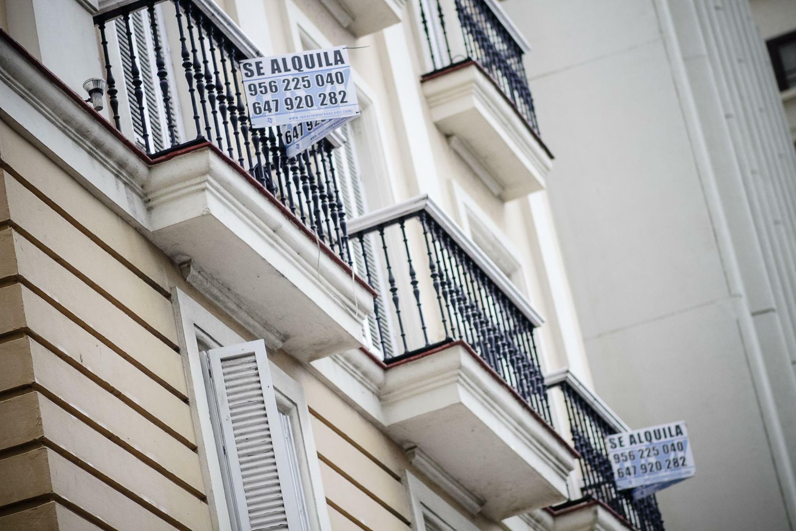 Viviendas en alquiler en Cádiz.