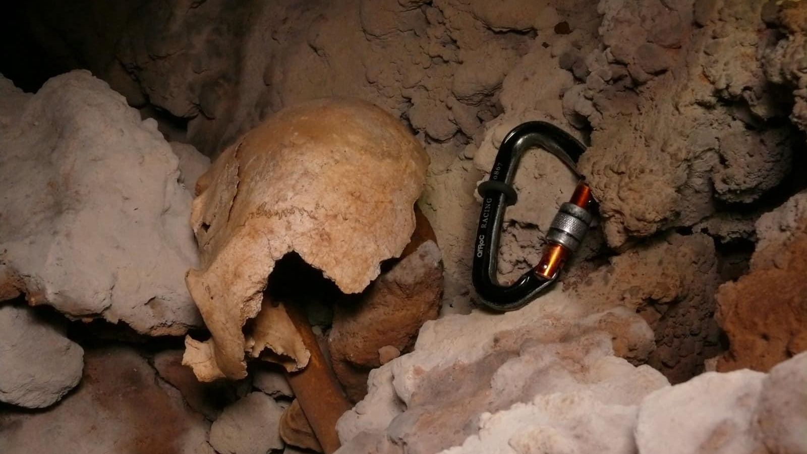 Cráneo partido por la mitad hallado.