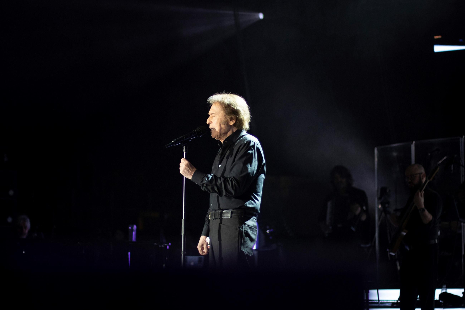 El concierto de Raphael en imágenes