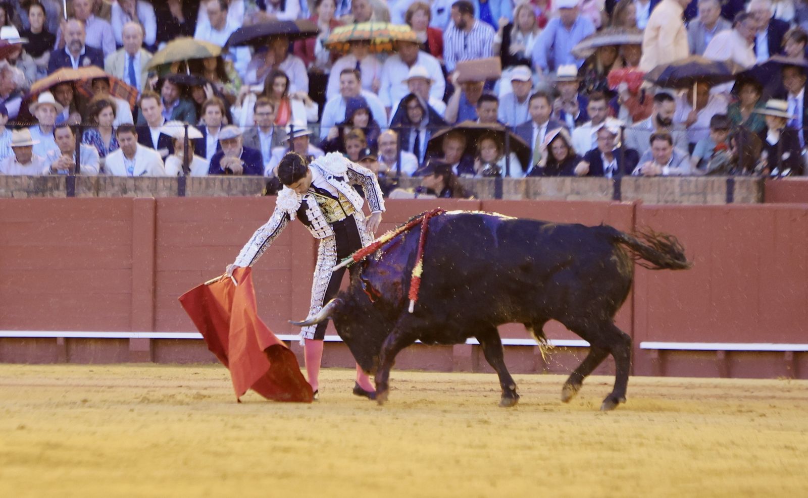 Las mejores imágenes de la corrida de toros de Juan Ortega, Roca Rey y Pablo Aguado