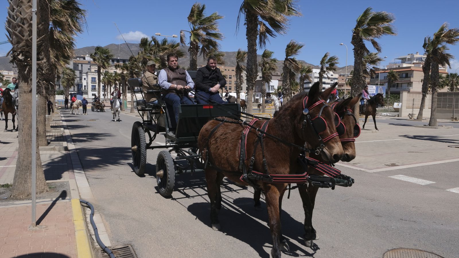 Fotogalería de las Fiestas de San Marcos en Adra.