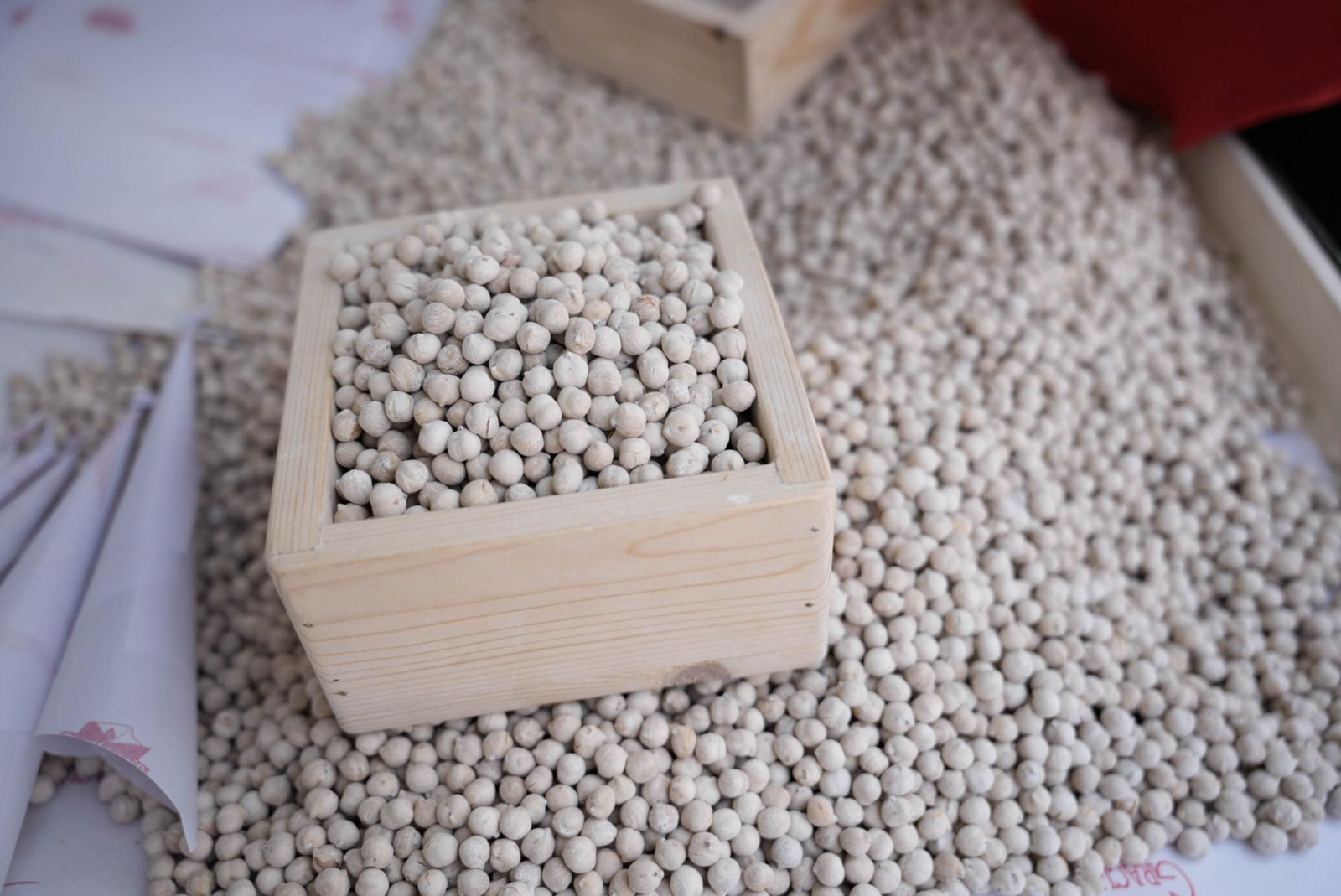 XLII Festival de Música Tradicional de la Alpujarra, en imágenes