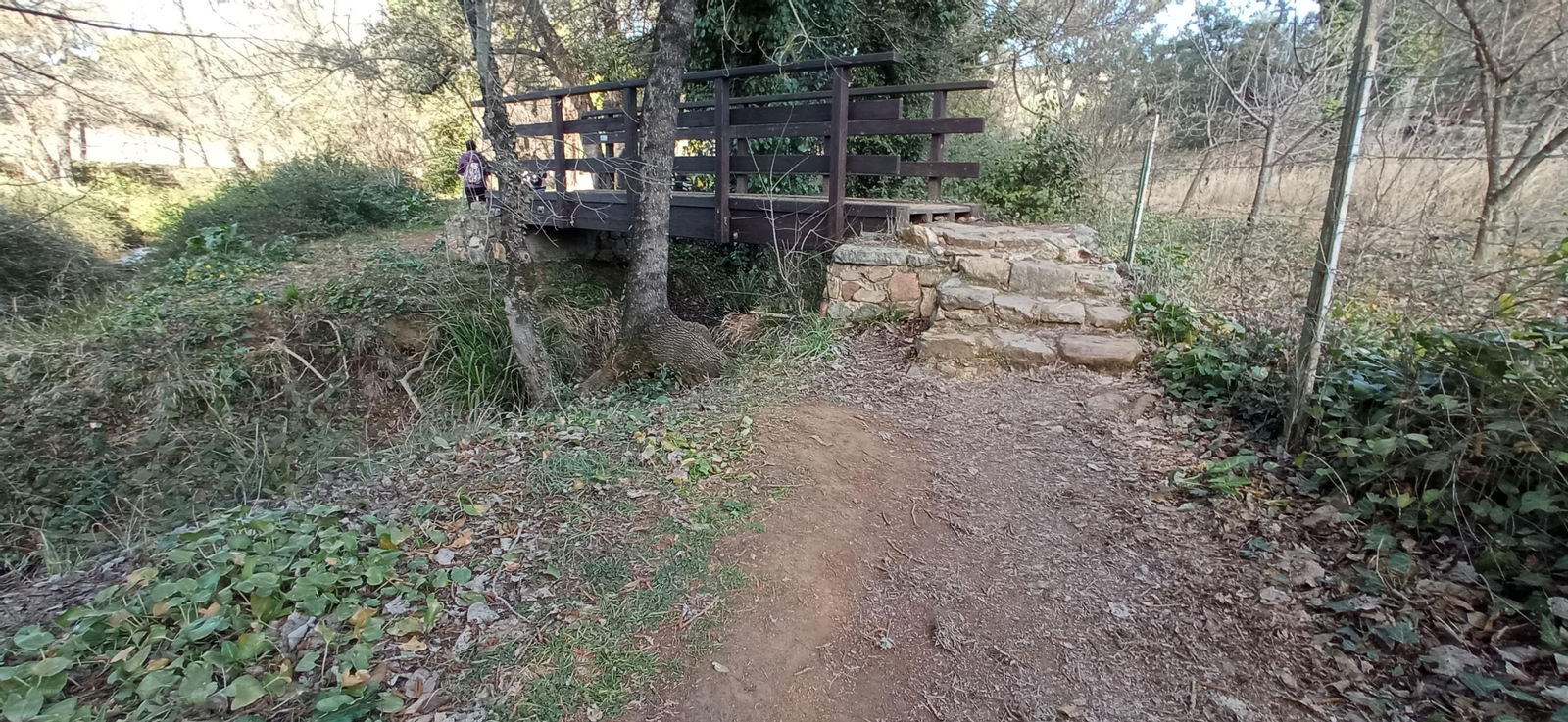 Las imágenes de la ruta de la cascada de Jollarancos y bosque de las letras