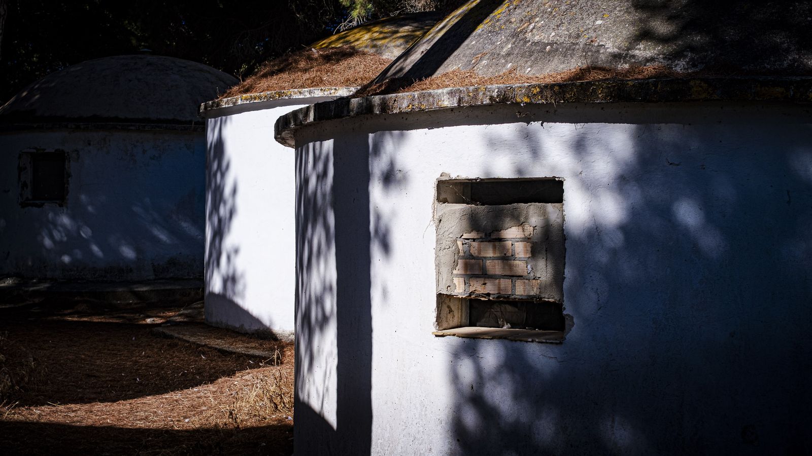 Las imágenes actuales del estado de abandono del antiguo campamento La Forestal en Rota