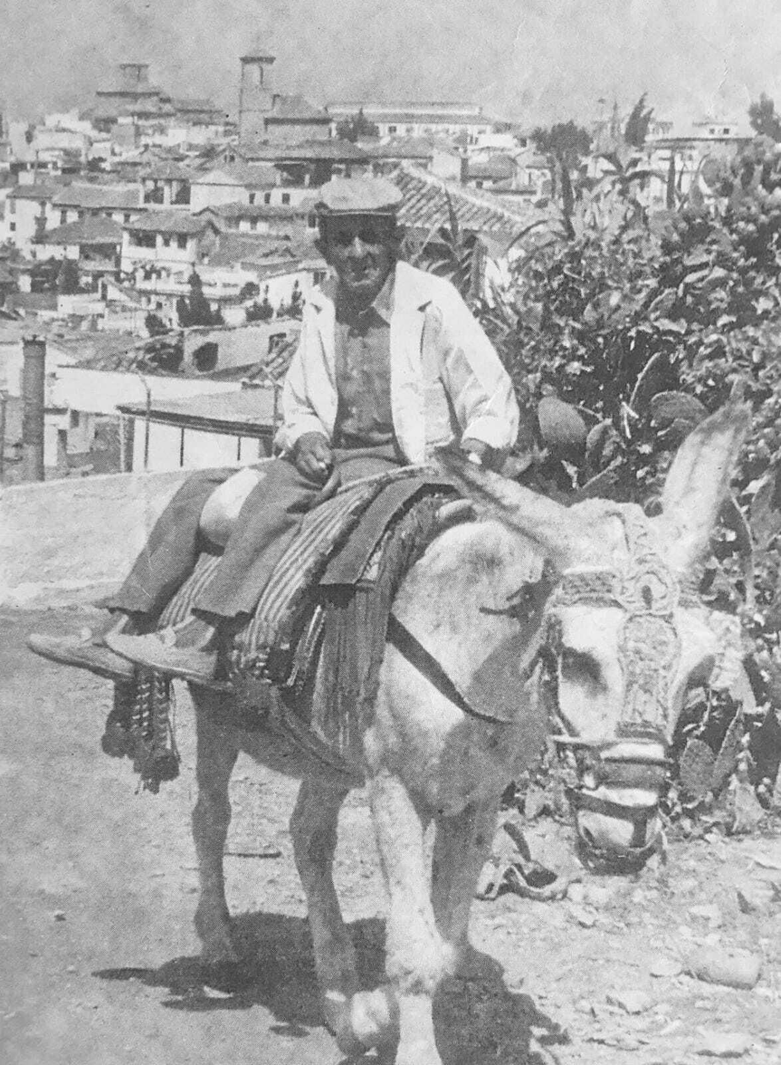 Un arriero pasa por la chumberas del Sacromonte