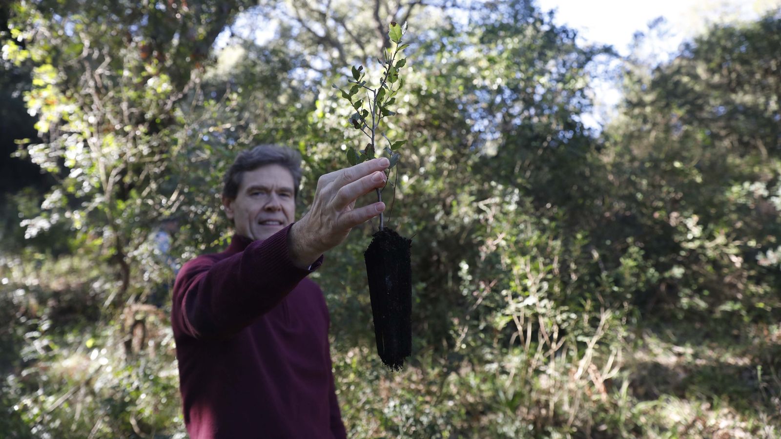 Jornada de reforestación en El Palancar por trabajadores de Acerinox, en imágenes