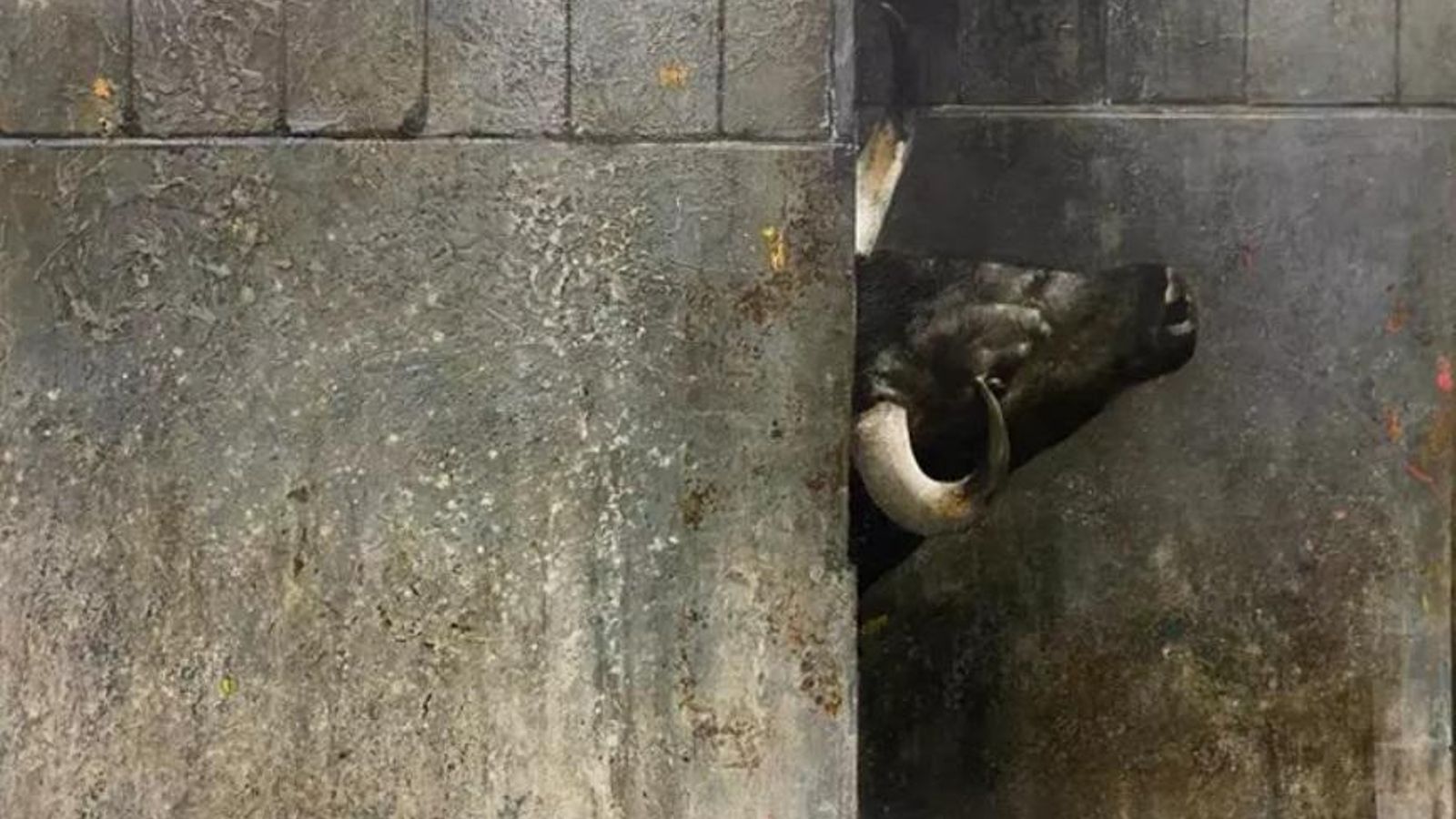 "El desembarco", obra ganadora del jiennense Francisco Carrillo.