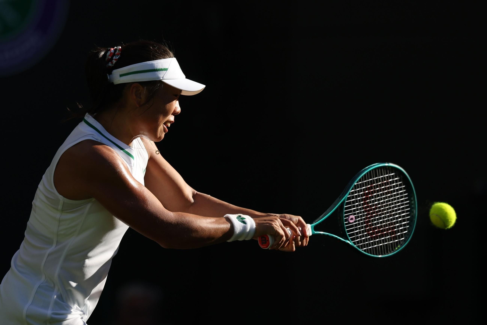 La primera jornada de Wimbledon (149).jpg