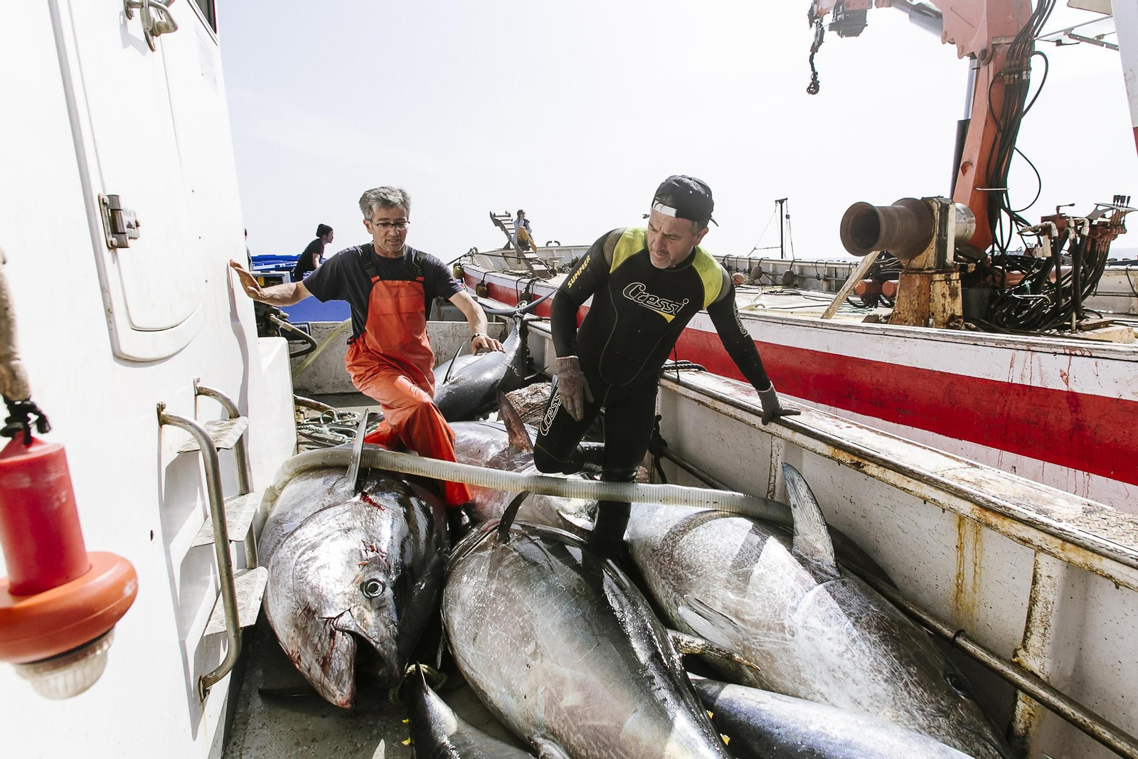 Imágenes de la primera levantá del año