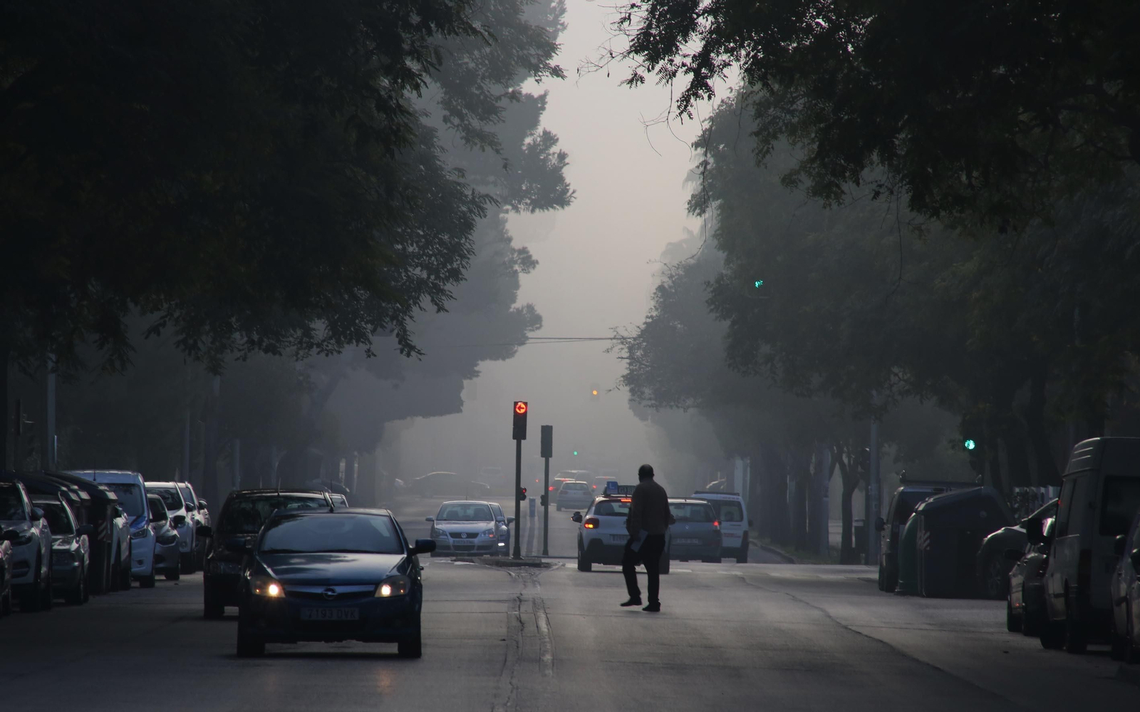 Imagen tomada la mañana de este viernes en la avenida de la Cruz Roja.