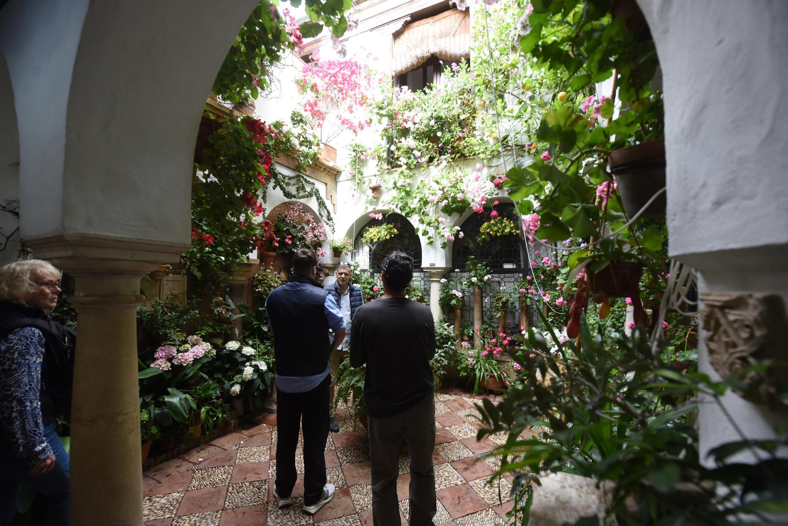 Los Patios de Córdoba de la Ruta del Alcázar Viejo, en imágenes