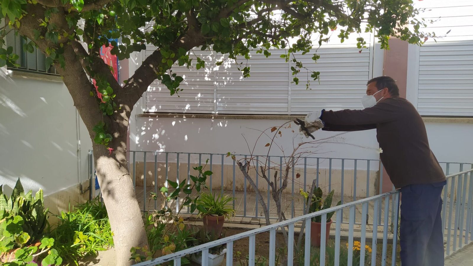 Gracias a él, el centro cuenta con unas muy bien cuidadas zonas ajardinadas.