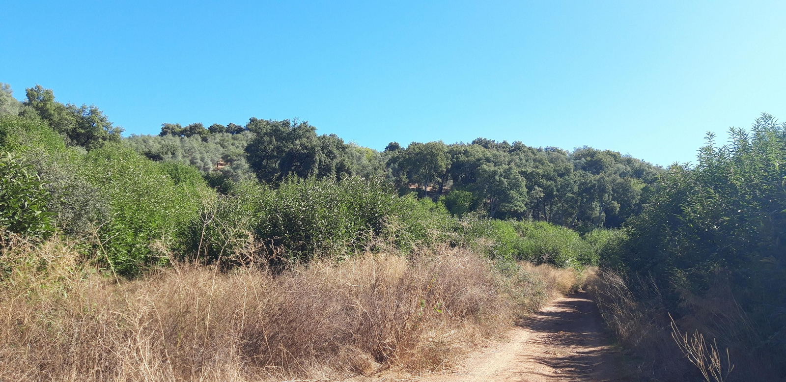 Las fotos de la Circular del Campovid