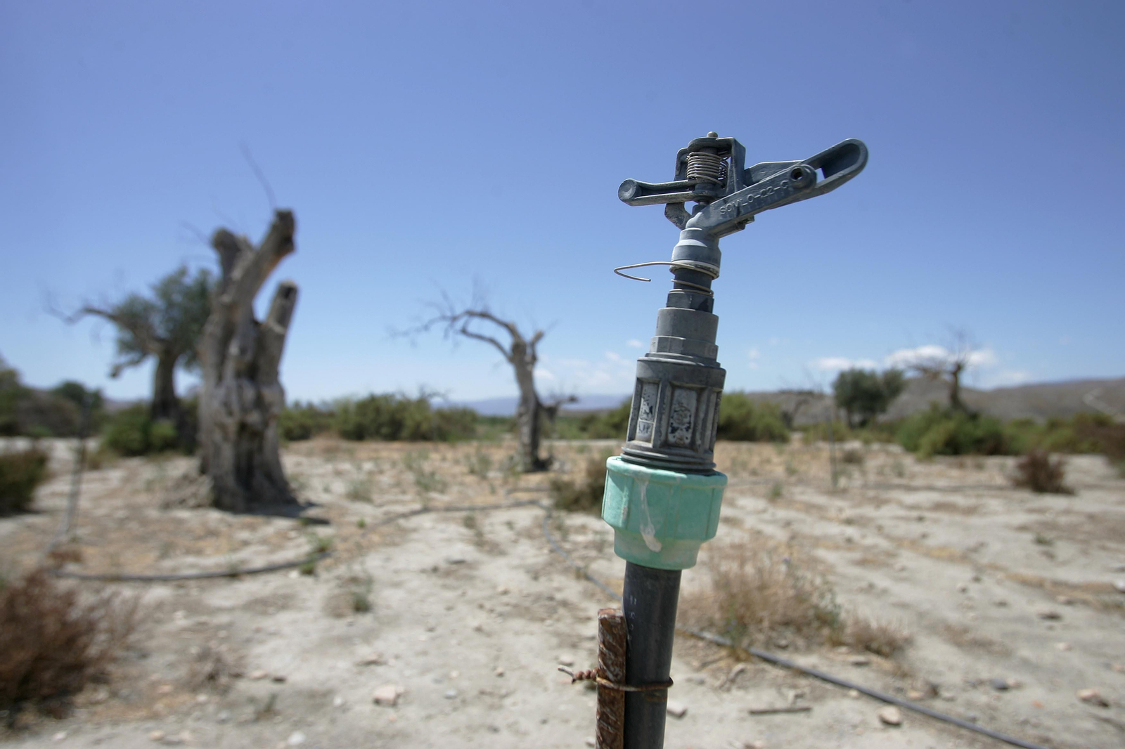 Un pivote de riego en un campo completamente yermo por la falta de precipitaciones.