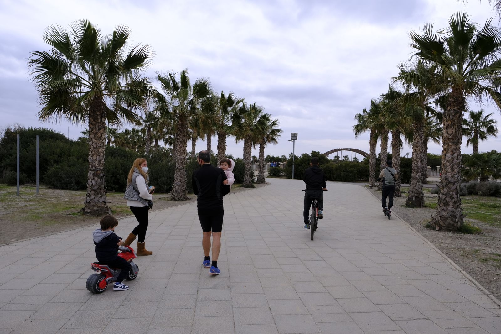 Plantación de árboles en el Parque del Andarax. Día de Andalucía.