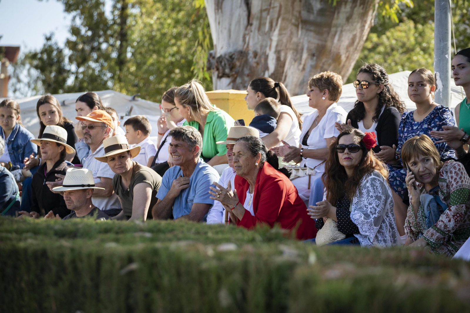 El concurso Campeón de Campeones en el Depósito de Sementales de Jerez