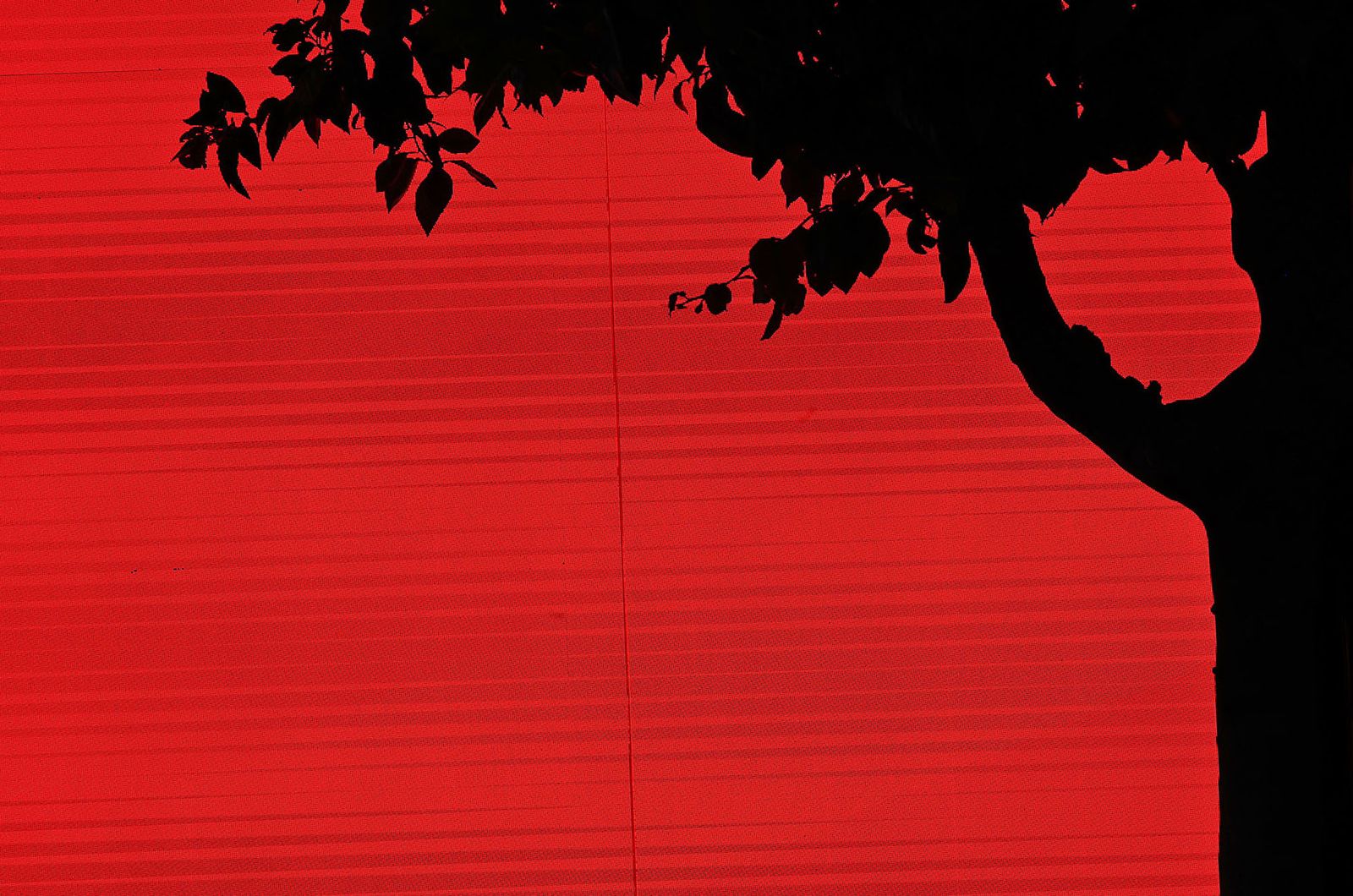 La magia de los escaparates de la ciudad