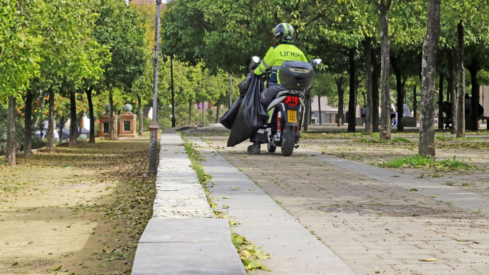 Abandono en la Alameda Vieja