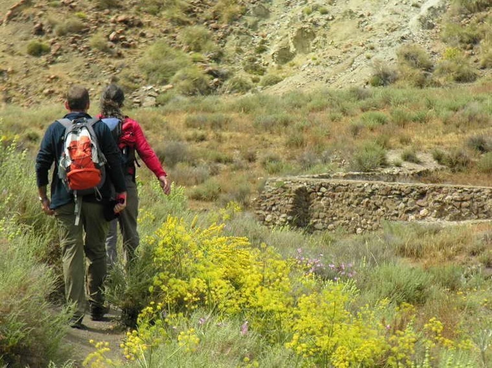Las ruinas del cortijo El Ricardillo son ahora punto de paso de senderistas.